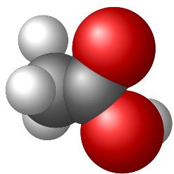 Space-filling molecular model of acetic acid, showing the carboxyl group (COOH) attached to a methyl group.