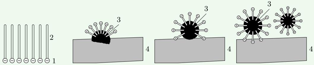 Diagram showing how soap molecules surround an oil droplet on fabric fibers: the hydrophobic tails insert into the oil while the hydrophilic heads extend into the surrounding water.
