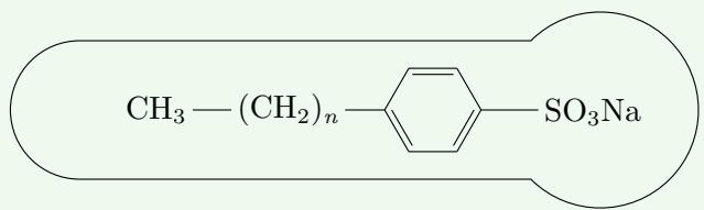 Structural diagram of a synthetic detergent molecule showing the nonpolar hydrocarbon tail (hydrophobic) and the polar sulfonate head (hydrophilic, SO₃Na).